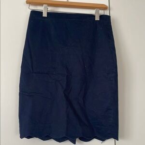 J. Crew skirt